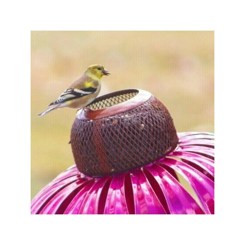 Schattig Vogelvoederhuisje voor in je Tuin